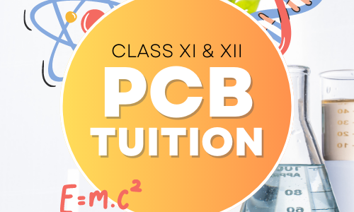 Class XI & XII PCB Tuition